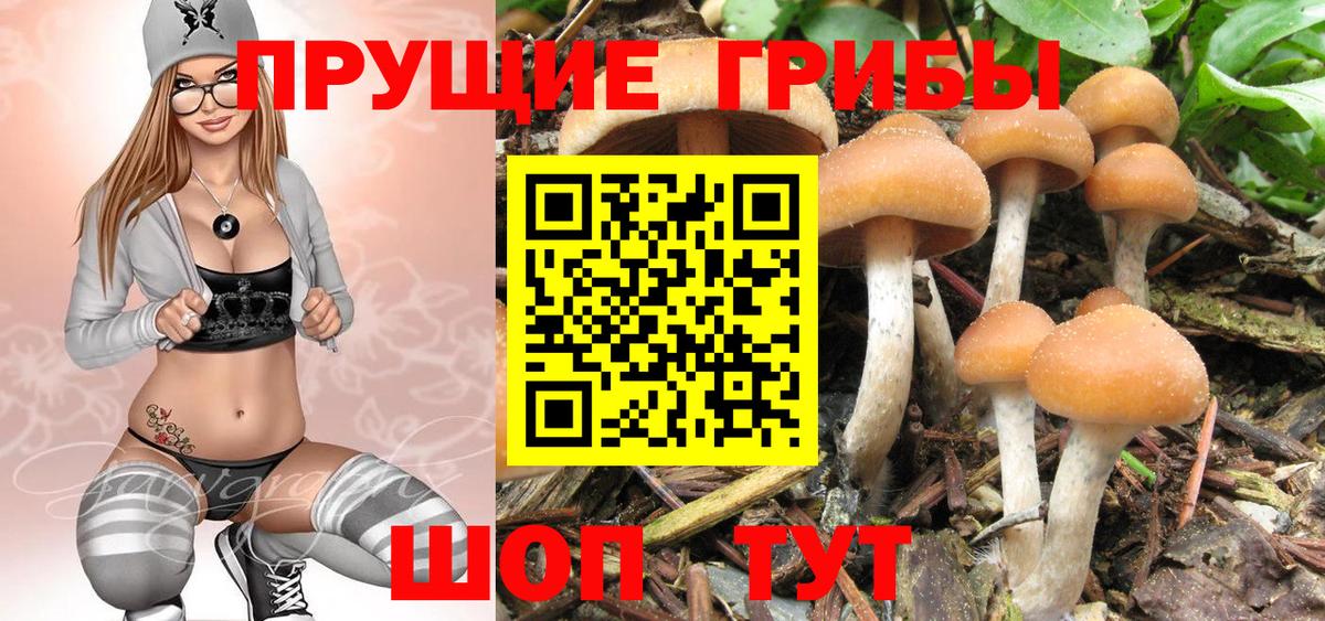 Кстово  Псилоцибиновые грибы GOLDEN TEACHER  Галлюциногенные грибы мицелий  Вход с VPN 